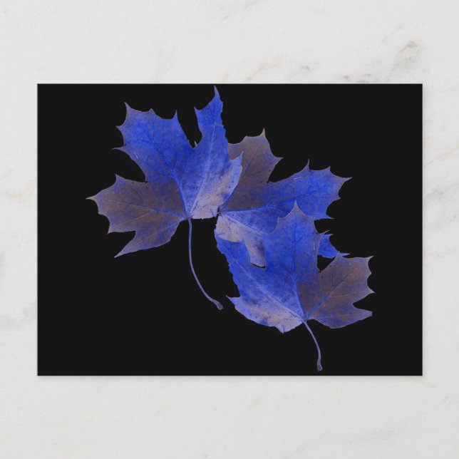 Blue Autumn Leaves Postcard (Front)