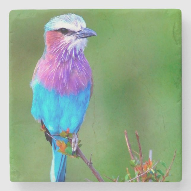 blue_babero bird stone coaster (Front)