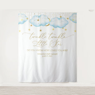 Blue Baby Shower Backdrop, Twinkle Little Star Tapestry