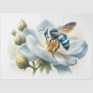 Blue Banded Bee on Apple Blossom Decoupage Tissue Paper