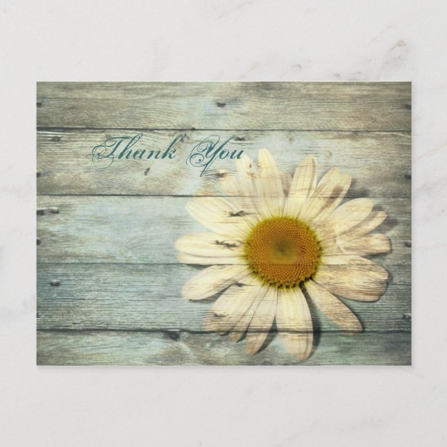 blue barnwood country daisy wedding thank you postcard (Front)