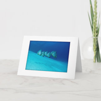 Blue Batfish Greeting Card