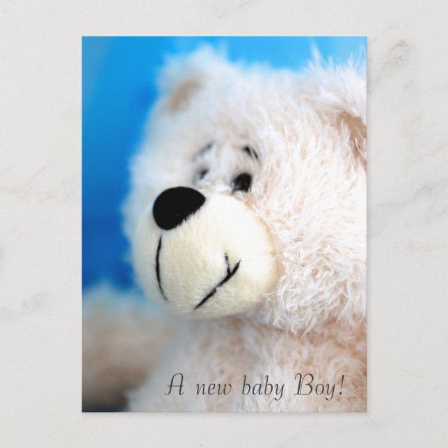 Blue Bear Announcement Postcard (Front)