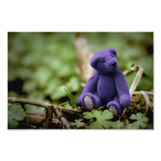 Blue Bear Photo Print