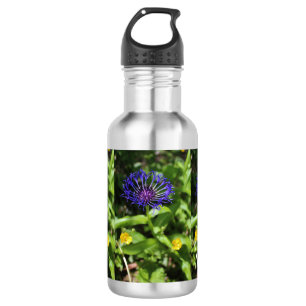 Blue Beauty 532 Ml Water Bottle