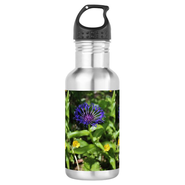 Blue Beauty 532 Ml Water Bottle (Front)