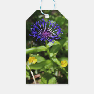 Blue Beauty Gift Tags