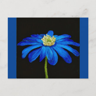 Blue Beauty postcard