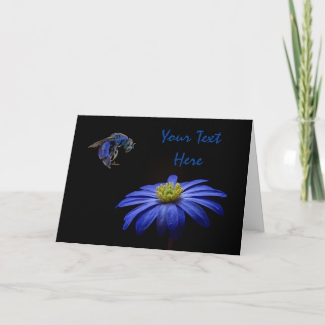 Blue Bee Landing on Blue Daisy Greeting Card (Front)