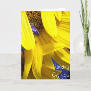 Blue Bee on Yellow sunflower -Thinking Of You Card