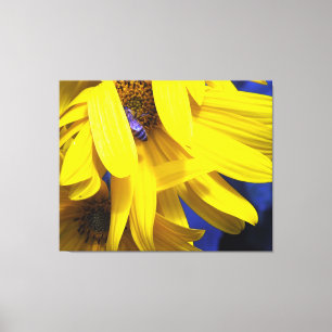 Blue Bee On Yellow Sunflower Wrapped Canvas