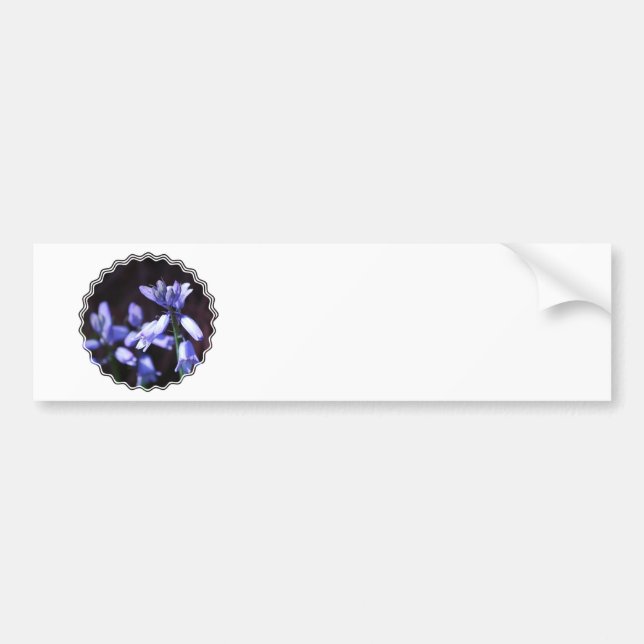 Blue Bell Flowers  Bumper Stickers (Front)