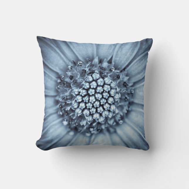 Blue Bell Tunicate Centred with Selenium Filter Cushion (Front)
