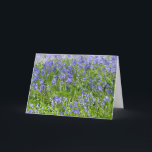 Blue Bells Greeting card<br><div class="desc">Just Bluebells in a field</div>