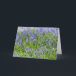 Blue Bells Greeting card<br><div class="desc">Just Bluebells in a field</div>