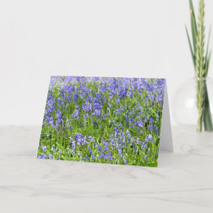 Blue Bells Greeting card