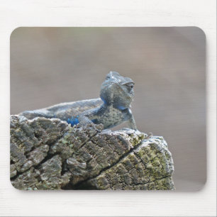 Blue Belly Alligator Lizard Mouse Pad