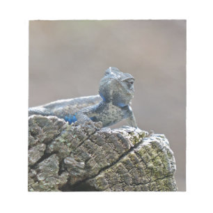 Blue Belly Alligator Lizard Notepad