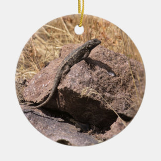 Blue Belly Lizard Ornament