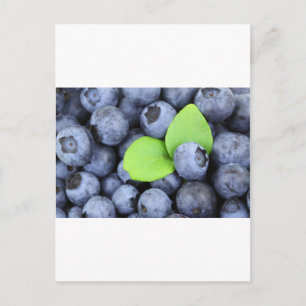 Blue Berries Fruit Peace Love Destiny Party Art Postcard