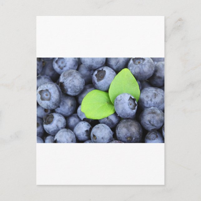 Blue Berries Fruit Peace Love Destiny Party Art Postcard (Front)