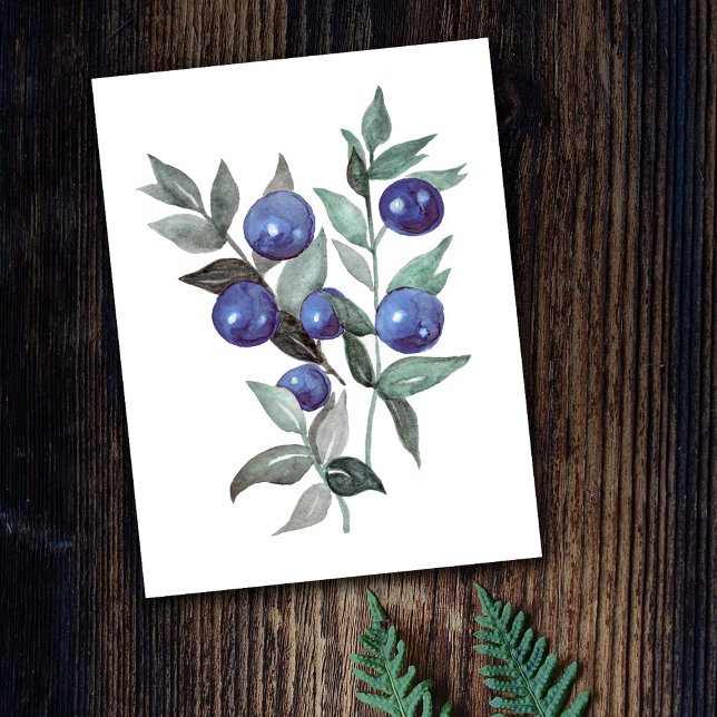 Blue Berries Fruit Watercolor Artwork Postcard (Creator Uploaded)