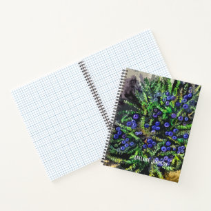 Blue berries notebook