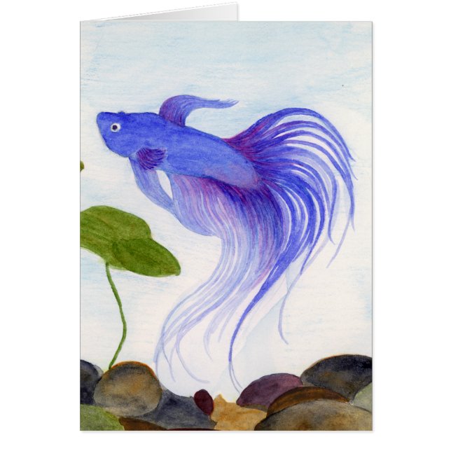 Blue Betta Fish (Front)