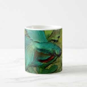 Blue Betta fish aquarium Mug