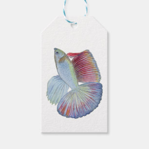 Blue Betta Fish Gift Tags
