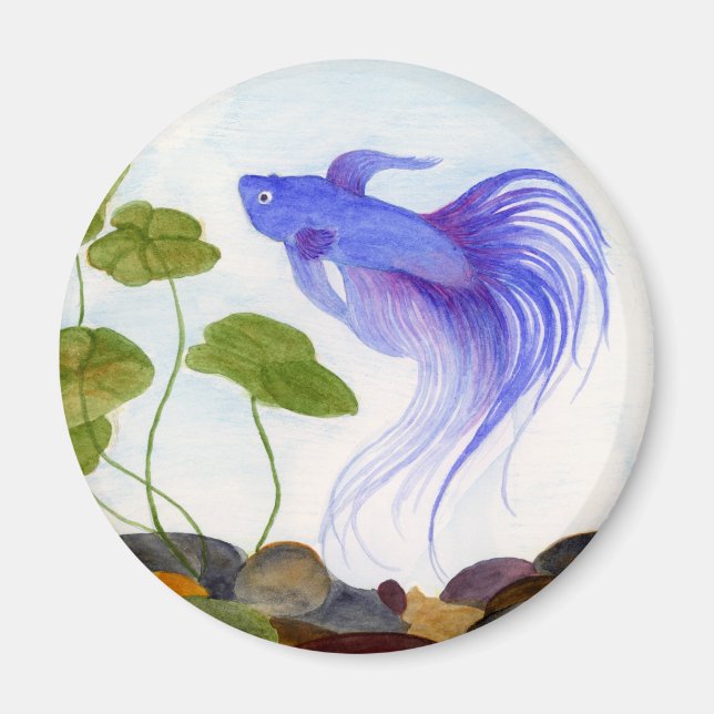 Blue Betta Fish Magnet (Front)