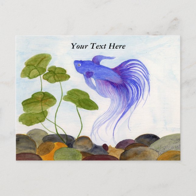 Blue Betta Fish Postcard (Front)