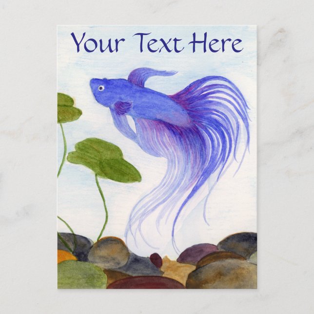 Blue Betta Fish Postcard (Front)