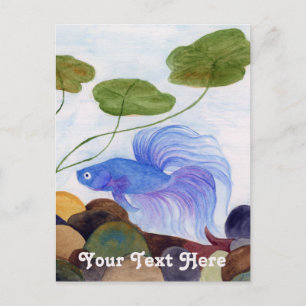 Blue Betta Fish Postcard