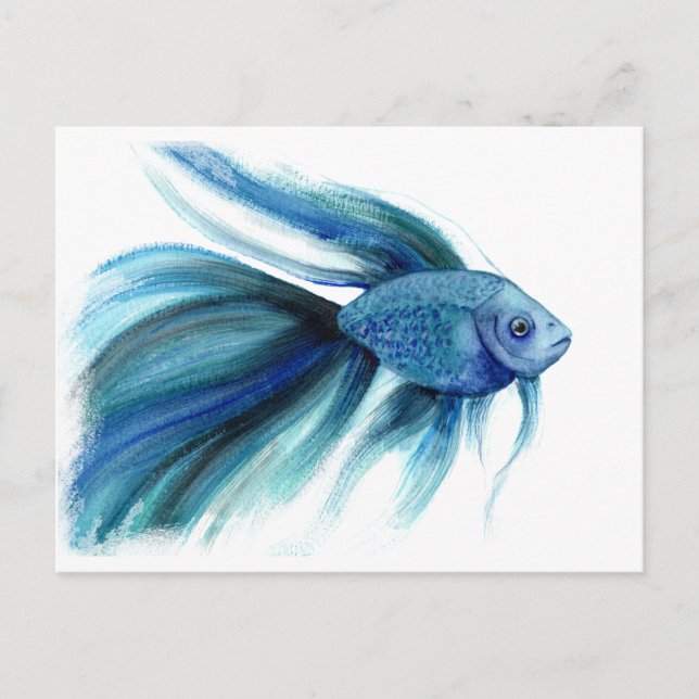 Blue Betta Fish Postcard (Front)