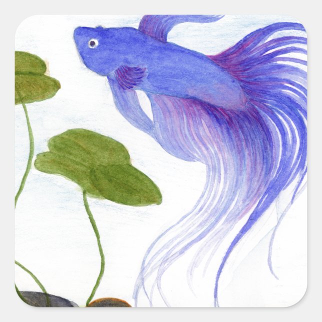 Blue Betta Fish Square Sticker (Front)