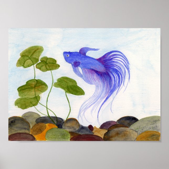 Blue Betta Poster (Front)