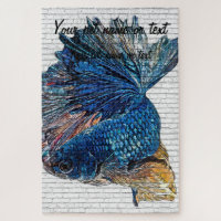 Blue Betta Splendens, Siamese Fighting Fish - Bric