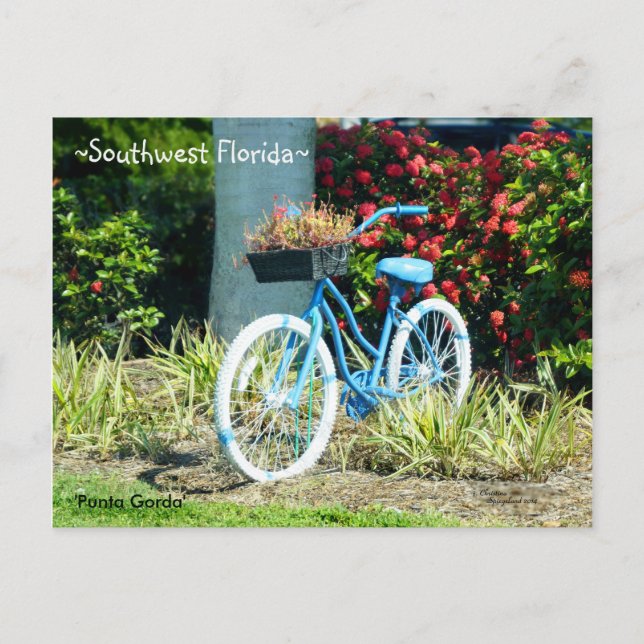 Blue Bicycle Southwest Florida Postcard (Front)