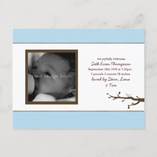 Blue Bird Baby Announcement Postcard