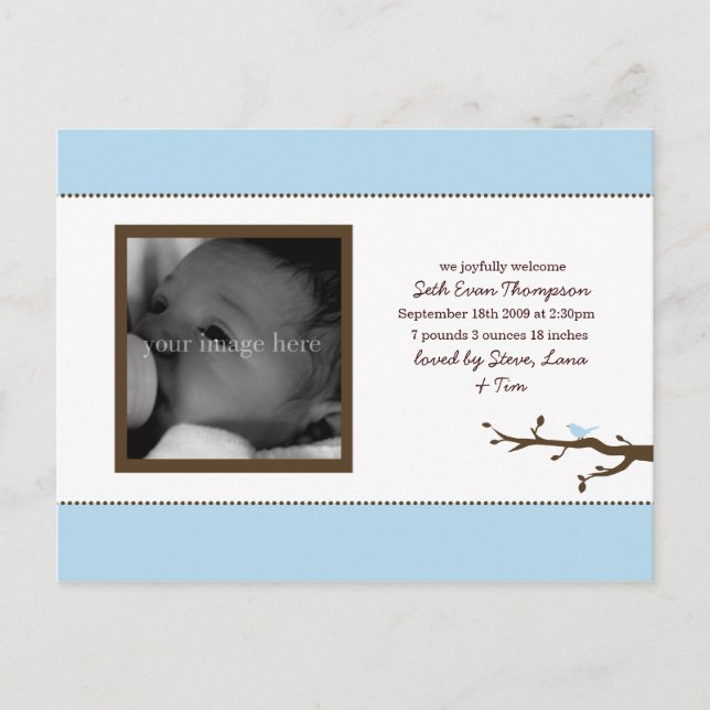 Blue Bird Baby Announcement Postcard (Front)