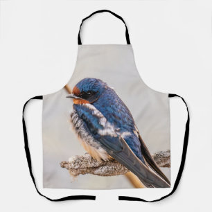 Blue Bird, Barn Swallow, Canadian Photography Apron