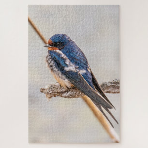 Blue Bird, Barn Swallow, Canadian Photography Jigsaw Puzzle