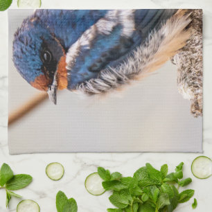 Blue Bird, Barn Swallow, Canadian Photography Tea Towel