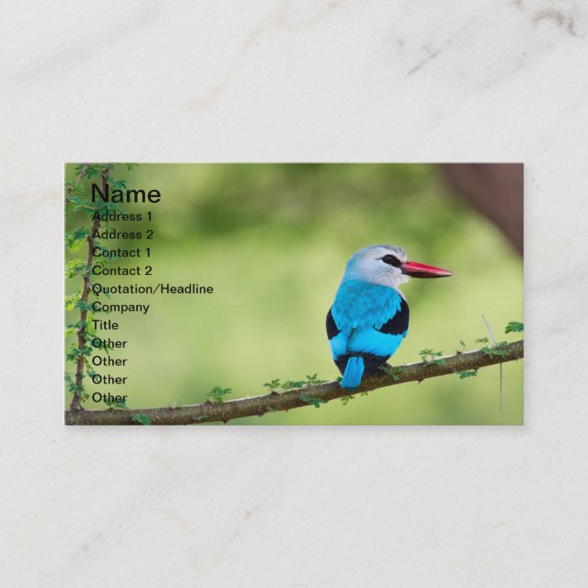 Blue bird business card (Front)