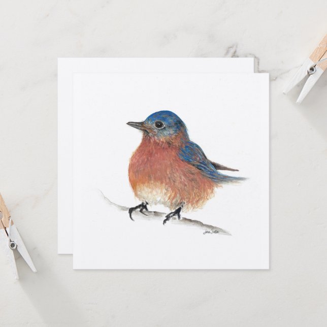 Blue Bird Card (Front/Back In Situ)