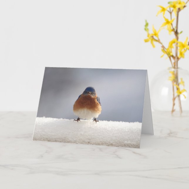 Blue Bird Folded Greeting Card (Yellow Flower)