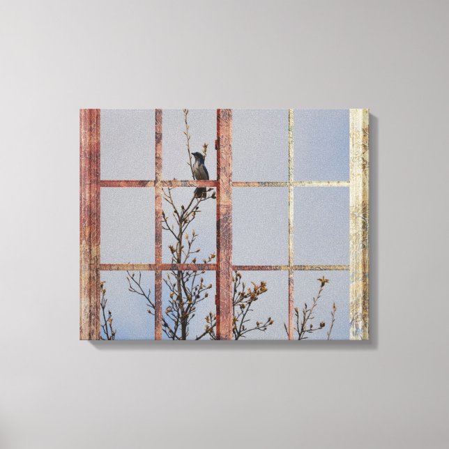 Blue Bird in Window Canvas Print (Front)