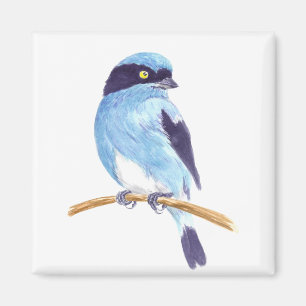 Blue bird magnet
