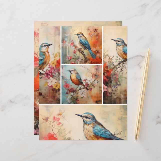 Blue Bird mix (Front/Back In Situ)